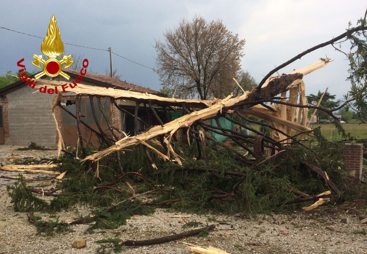 Le foto del fulmine “killer” che ha devastato un albero, mandato in frantumi i vetri e fatto saltare i tombini