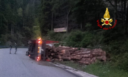 Cerca di evitare un cervo sulla provinciale: camion carico di legname si rovescia