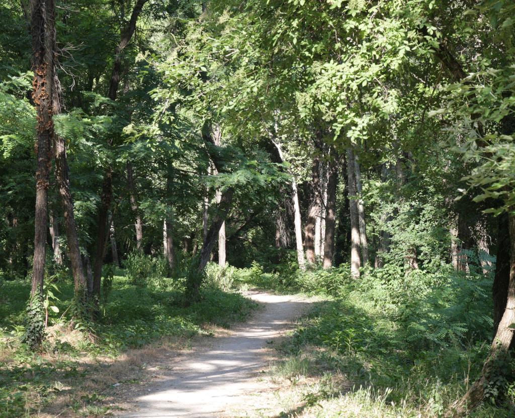 Vicenza, ripulito parco Astichello da 300 chili di rifiuti