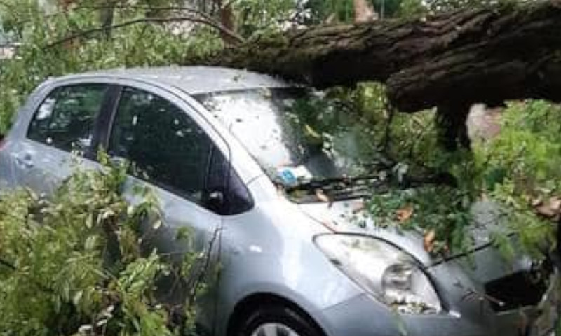 Maltempo a Vicenza, le prime immagini dei danni in città