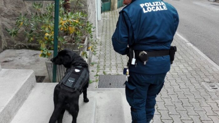 Vicenza investe sulla lotta allo spaccio