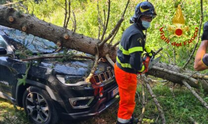 Violento nubifragio: le foto dell'albero crollato su un'auto ad Asiago