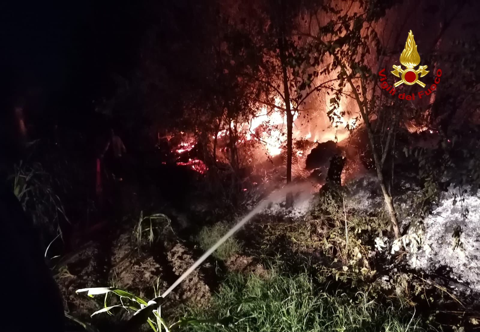 Incendio in un'azienda agricola, pompieri al lavoro tutta notte