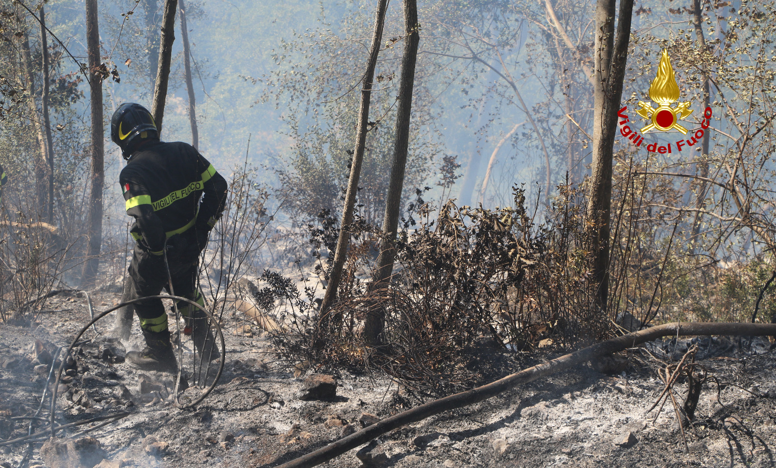 Due ettari di bosco in fiamme, foto e video dell'incendio a Pianezze di Arcugnano