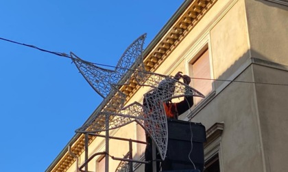 Vicenza si prepara al Natale: installate oltre 600 stelle in fibra di vetro