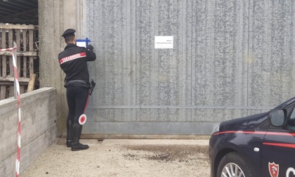 Lite tra due fratelli, i Carabinieri intervengono e trovano due bombe nascoste nel capannone