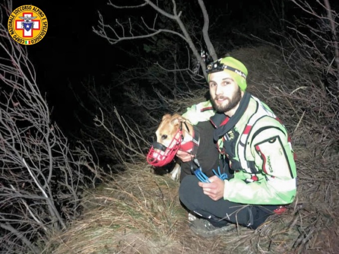 Si allontana durante una passeggiata e fa perdere le tracce: ore di apprensione per la piccola Vicky