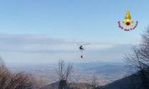 Incendio boschivo al Tretto: Vigili del Fuoco e Protezione Civile hanno domato le fiamme