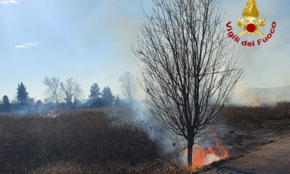 Incendi di sterpaglia: numerosi interventi dei Vigili del Fuoco