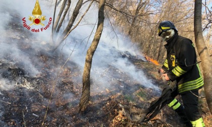 Piovene Rocchette, le foto e il video dell'incendio di sterpaglia di vaste dimensioni