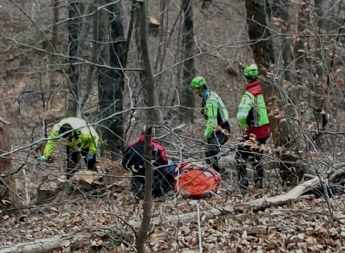 Boscaiolo colpito da un tronco perde i sensi poi riesce a chiedere aiuto: 61enne soccorso