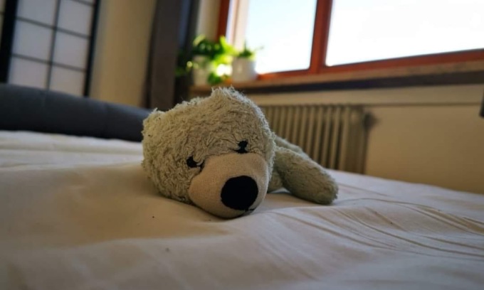 Alla fermata del bus perde il suo orsetto di peluche, la mamma: “200 euro a chi lo riconsegnerà”