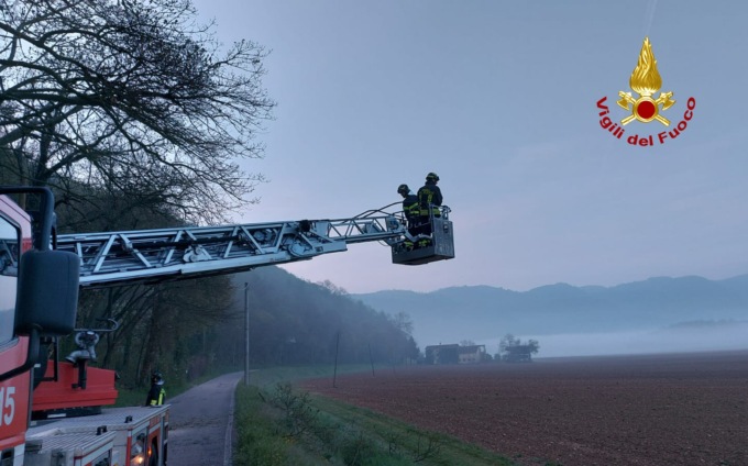 Piante pericolanti finiscono sui cavi elettrici e in strada: intervento all’alba dei Vigili del fuoco
