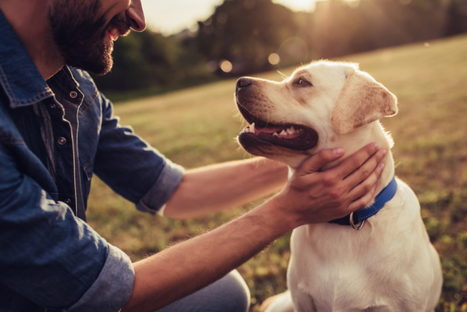 Il cane e l’uomo, un rapporto millenario e genetico. Il nuovo studio apre nuove porte