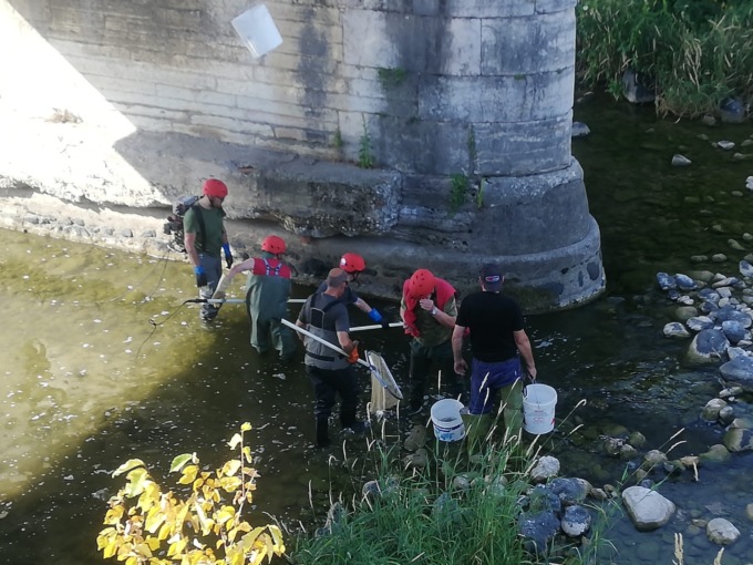 Emergenza siccità, ad Arzignano messi in salvo 300 chili di pesce