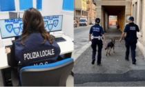 Vicenza, strano via vai attorno a un appartamento: arrestato pusher 47enne