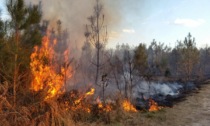 Dichiarato lo stato di grave pericolosità per gli incendi boschivi a Vicenza