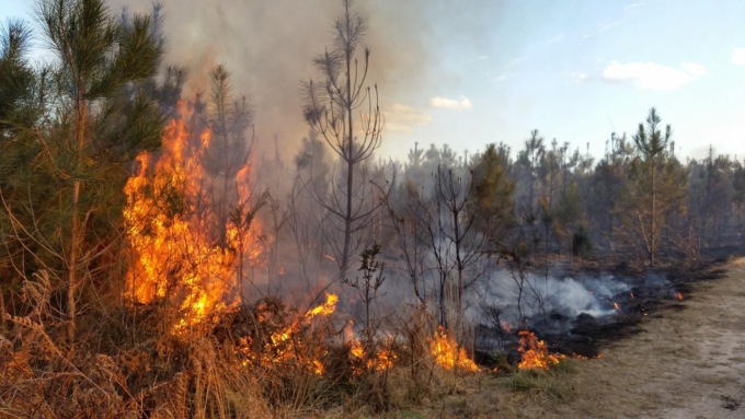 Dichiarato lo stato di grave pericolosità per gli incendi boschivi a Vicenza