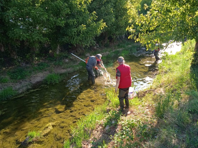 Emergenza siccità, la Polizia Provinciale in soccorso dei pesci nel Poscola