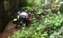 Cade dalla sponda di un corso d’acqua: ferito soccorso dai pompieri