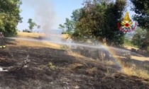 Incendio sulle colline di Molvena: le fiamme si sono estese alla zona boschiva