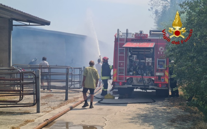Barbarano Vicentino, foto e video dell’incendio divampato in una stalla di un’azienda agricola
