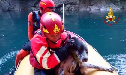 Nico cade per 40 metri e rimane bloccato sullo sperone di roccia: recuperato dai pompieri