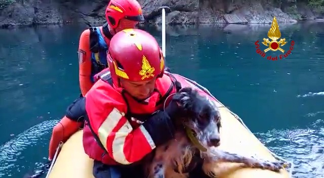 Nico cade per 40 metri e rimane bloccato sullo sperone di roccia: recuperato dai pompieri