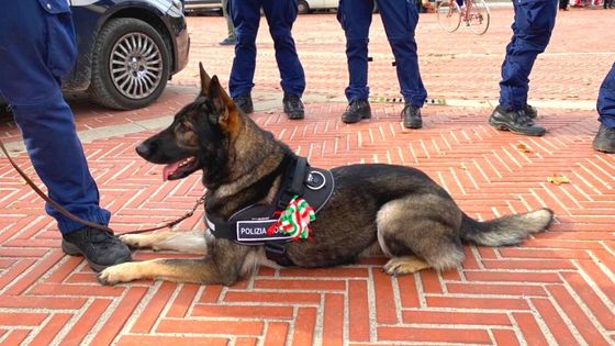 Vicenza, da inizio anno la Polizia locale ha denunciato 13 spacciatori