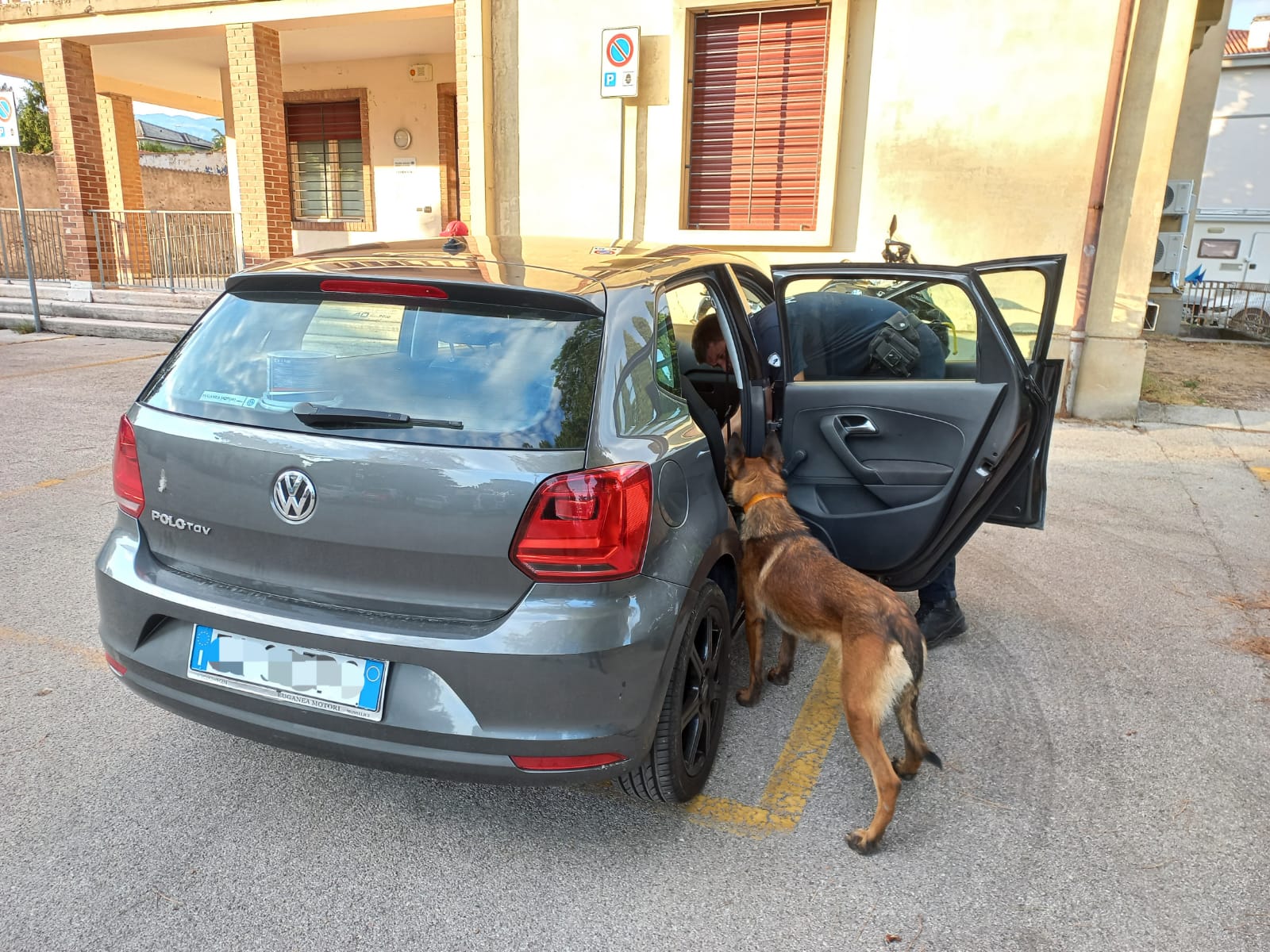 Controlli antidroga, trovata dell'hashish nascosta in auto grazie al fiuto di Ronnie