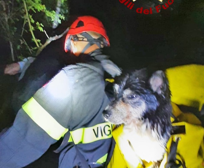 Chiampo, cagnolino cade in un burrone: le foto del salvataggio
