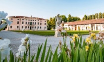 Cosa fare a Vicenza e provincia: gli eventi del weekend (15 e 16 ottobre 2022)