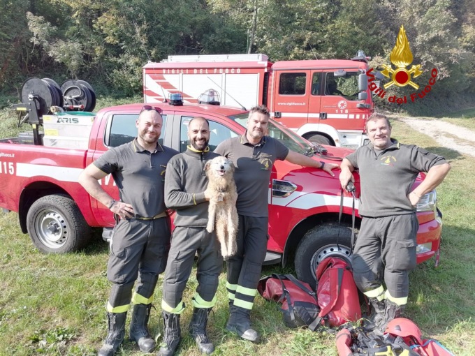 Schio, il cane Lillo cade nel dirupo e non riesce a risalire: salvato dai pompieri