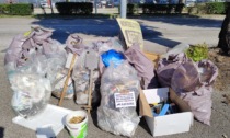 Raccolta Plastic Free a Vicenza: riempiti 33 sacchi con una stima di 450 chili di peso
