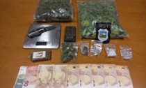 Piante di Cannabis nell'orto, stupefacenti e contanti in casa: 26enne arrestato