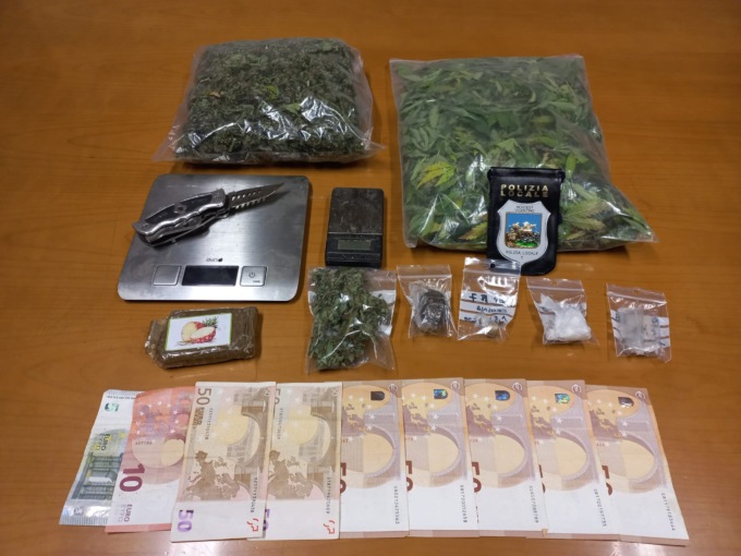 Piante di Cannabis nell’orto, stupefacenti e contanti in casa: 26enne arrestato