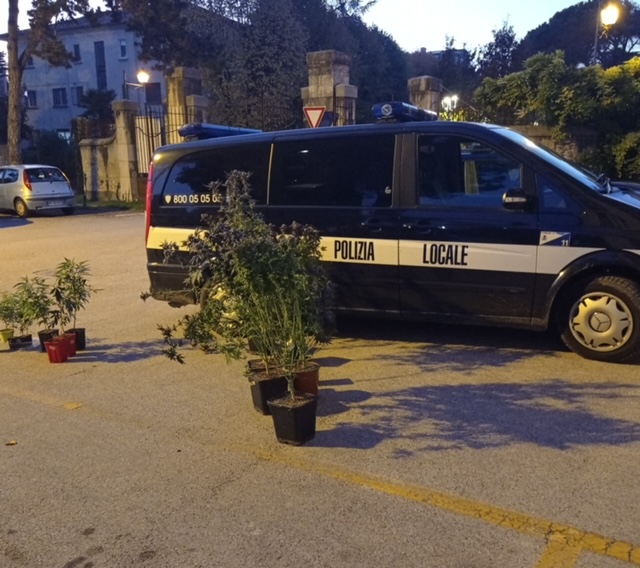 Gli agenti avevano “fiutato” una pista:  denunciato un thienese trovato con 26 piante di marijuana in casa