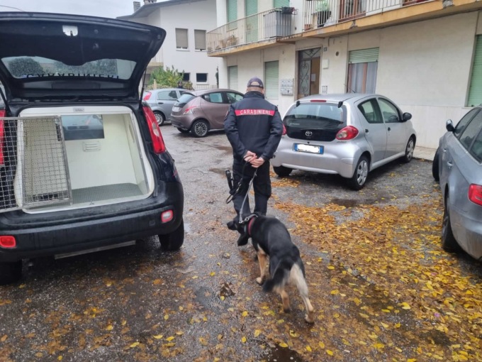 Denuncia il compagno per violenze: smantellata una pericolosa rete di spaccio