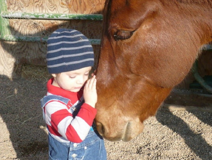 ” Bambini e pony, a scuola insieme”: il Rodari di Rossano “si dà all’ippica”