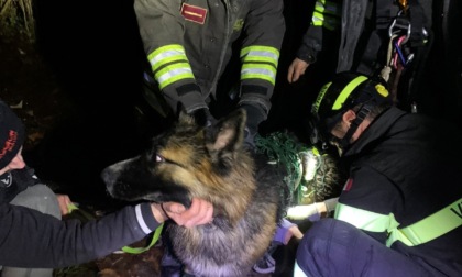 Tito si allontana da casa e cade in un crepaccio, salvato dai vigili del fuoco