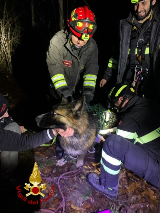 Tito si allontana da casa e cade in un crepaccio, salvato dai vigili del fuoco