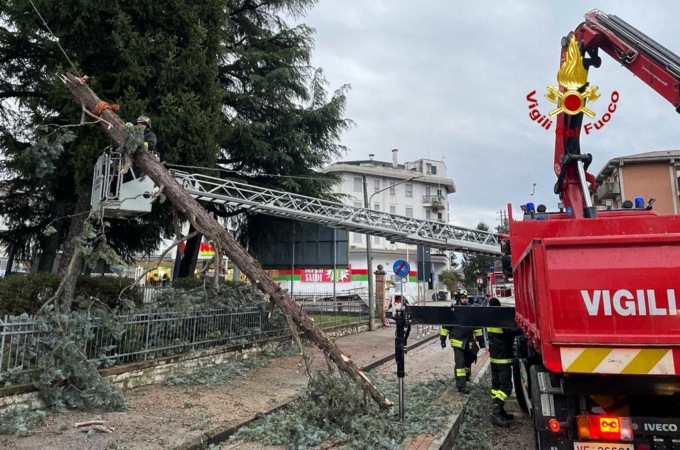 Vicenza, le foto dell’albero che si è spezzato per il forte vento cadendo sui fili elettrici