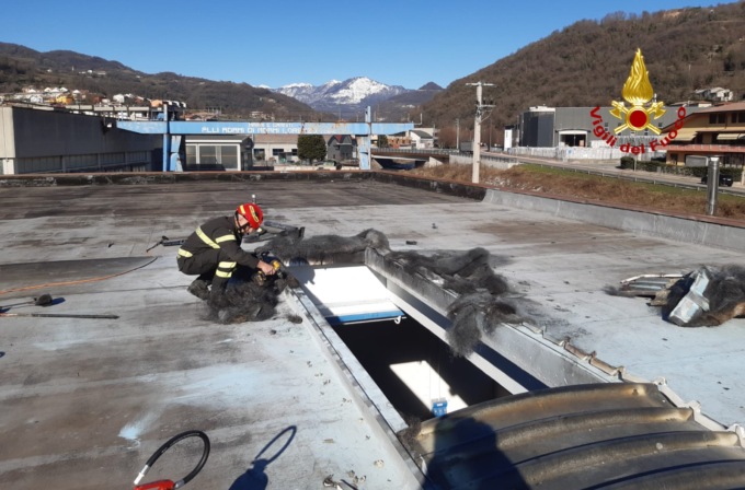 Chiampo, prende fuoco il lucernario nell’azienda di arredo giardino: momenti di paura