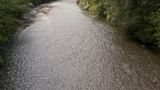 Il report di Legambiente: ecco cosa c’è nelle acque dei fiumi vicentini