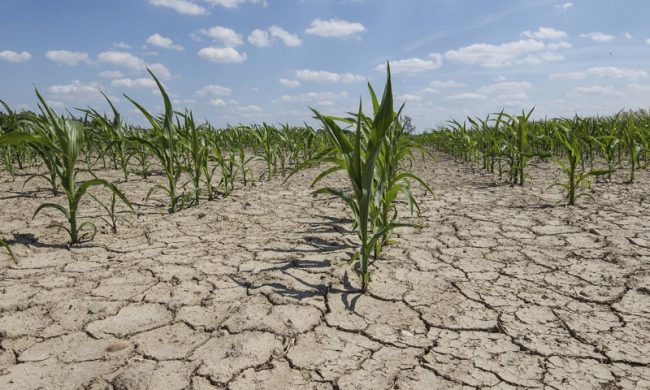 La sfida contro la siccità: utilizzare l’acqua dei fiumi per ricaricare le falde