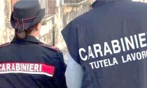 Sicurezza sul lavoro, controlli dei Carabinieri nelle aziende agricole: scattano multe e sospensioni