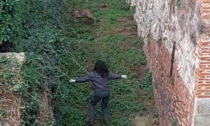 Vicenza, le foto della giovane capriola spaventata in pieno centro