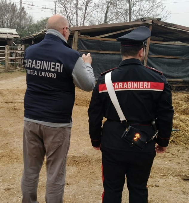 Nel maneggio lavoratori clandestini e violazioni sulla sicurezza, multe per 40mila euro
