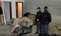 Le pelli bovine imbottite di "coca" facevano scalo nel vicentino: sequestrati 745 kg di droga, sul mercato vale 61milioni di euro