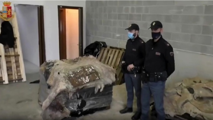 Le pelli bovine imbottite di “coca” facevano scalo nel vicentino: sequestrati 745 kg di droga, sul mercato vale 61milioni di euro